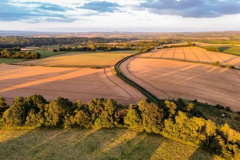 Farmland 1.jpg