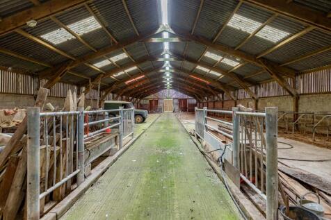 Modern Shed.jpg