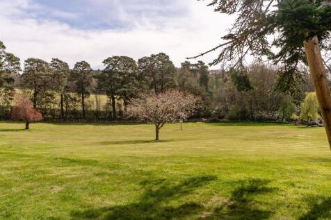 Garden/paddock