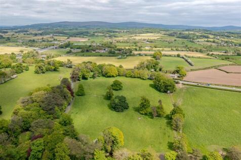 DJI_0877-HDR.jpg