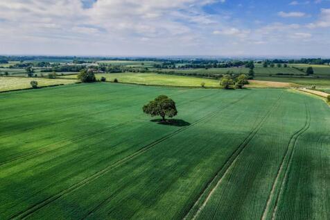 DJI_20250521113755_0247_D-HDR (1).jpg