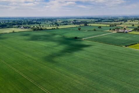 DJI_20250521112430_0147_D-HDR (1).jpg