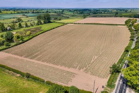 DJI_20250521121742_0362_D-HDR (1).jpg