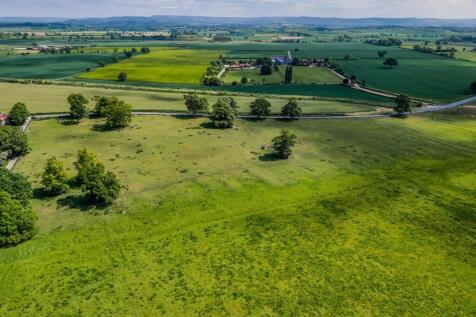DJI_20250521122842_0397_D-HDR (1).jpg
