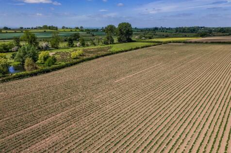 DJI_20250521121839_0372_D-HDR.jpg