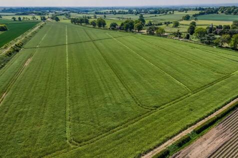 DJI_20250521121124_0347_D-HDR.jpg