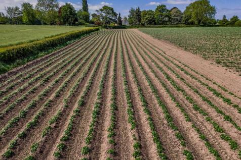 DJI_20250521121155_0352_D-HDR (1).jpg
