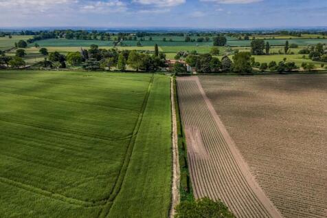 DJI_20250521120028_0322_D-HDR (1).jpg