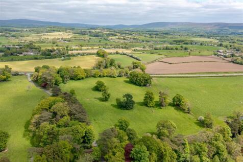 DJI_0872-HDR.jpg