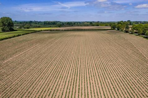 DJI_20250521121846_0377_D-HDR.jpg
