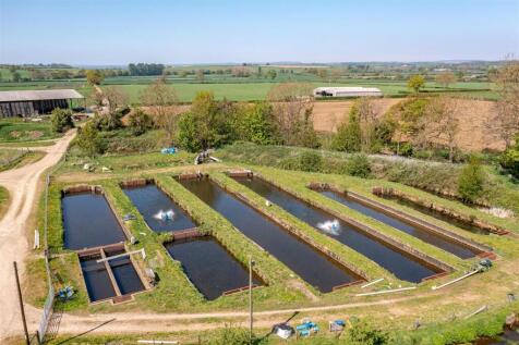 DJI_0422-HDR.jpg
