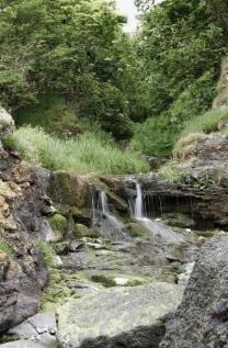 Towards the mouth of the burn