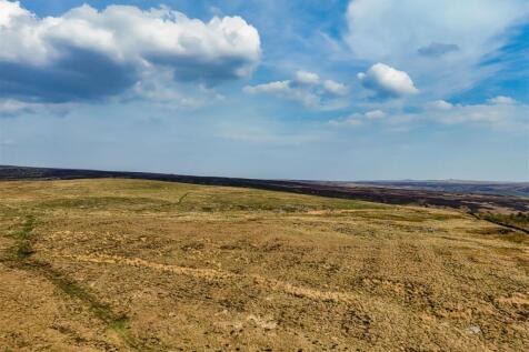 DJI_20250429160041_0726_D.jpg