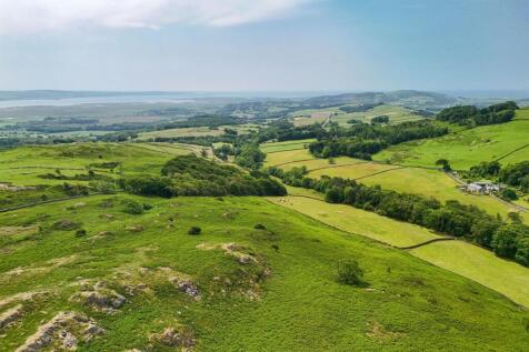 DJI_20250611121423_0592_D.jpg
