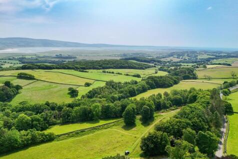DJI_20250611123828_0690_D (1).jpg