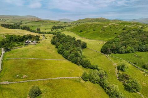 DJI_20250611123945_0698_D.jpg