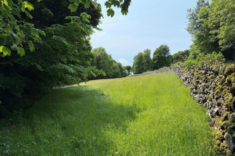 Broadgate hay meadow.jpg