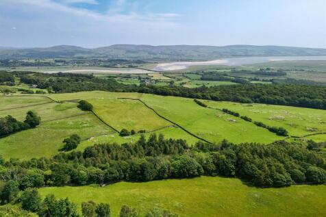 DJI_20250611131128_0777_D (1).jpg