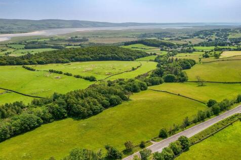 DJI_20250611131139_0779_D.jpg