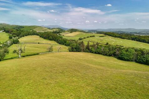 DJI_20250611134039_0823_D (1).jpg