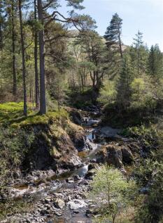 Over Kirkhope Burn