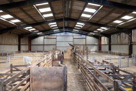 Sheep Shed