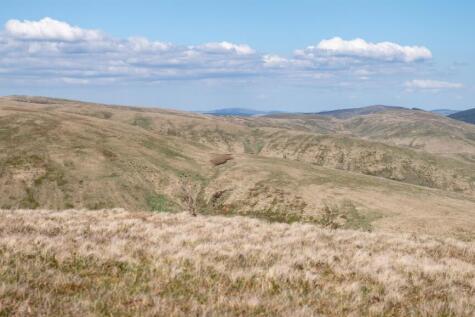 Over Kirkhope