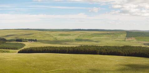 Emblehope Moor &amp; Scad Law