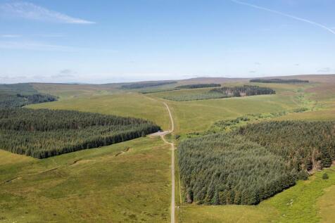 Hawk Knowe