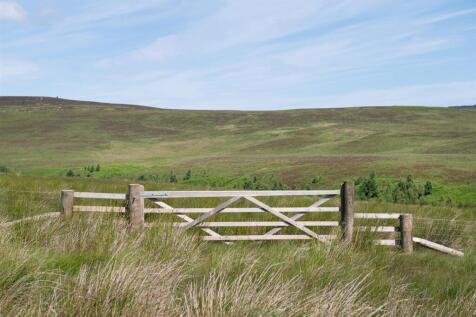 Emblehope Moor
