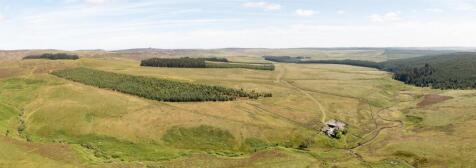 Burngrange Moor