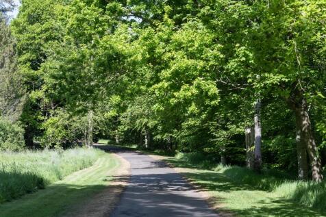 Main Drive