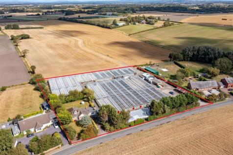Sintons Nurseries