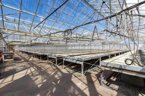 Glasshouse 2