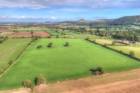 DJI_20250912105545_0763_D_4_D_5_D_6_D_7_DDetailed.