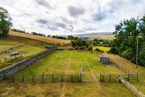 Hole House Farm - Pony Paddocks
