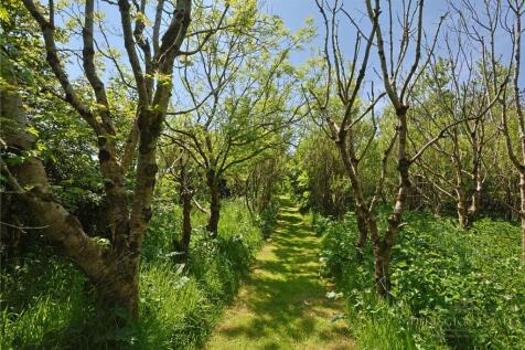 Property Image 35