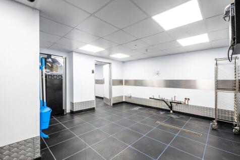 Forest Bus Pk U25  Low Res 8.jpg