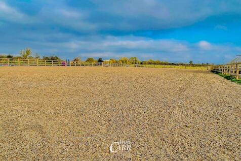 Horse Arena