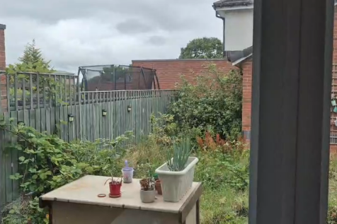 Property Image 38