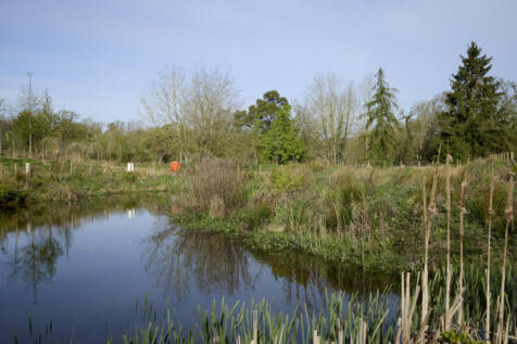 Plot image
