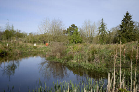 Plot image