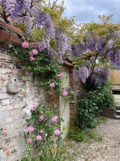 wisteria2.jpg