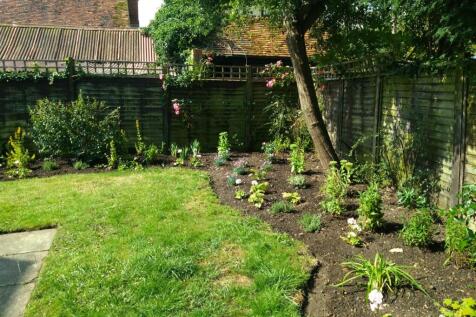garden 7.JPG