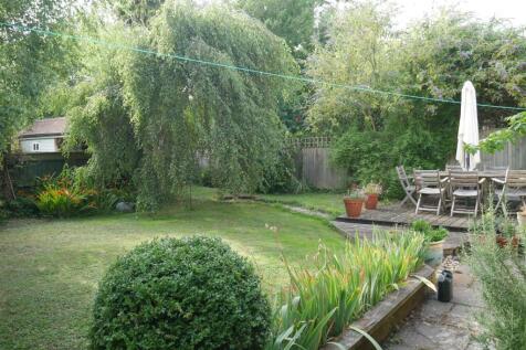 garden3.jpg