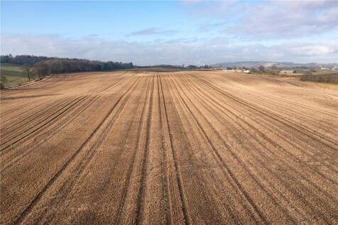 Winter Stubble