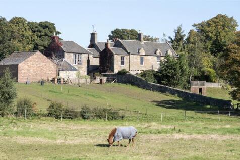 The Haugh