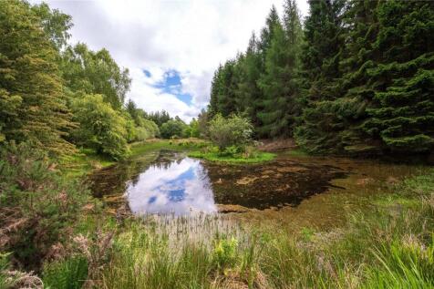 Pond