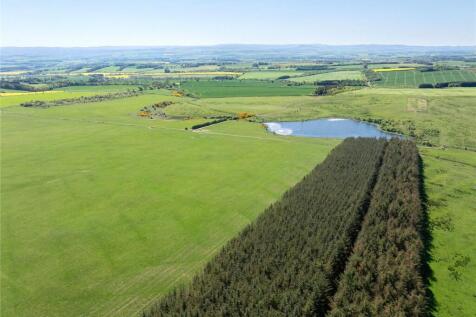 Lot 1 - Longleefoot