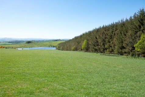 Lot 1 - Longleefoot